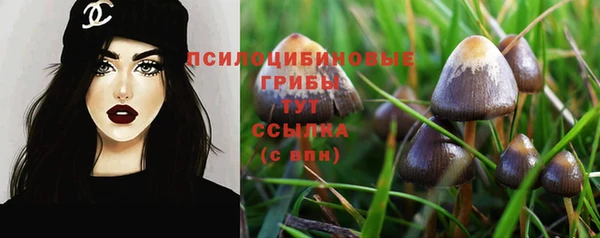 2c-b Алексин