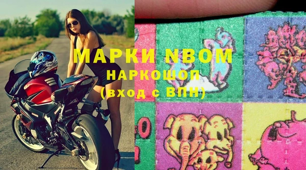PSILOCYBIN Алзамай