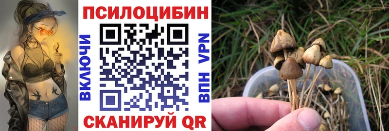 Псилоцибиновые грибы мухоморы  Ардатов 